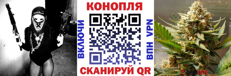 Шишки марихуана SATIVA & INDICA  где найти   Малмыж 